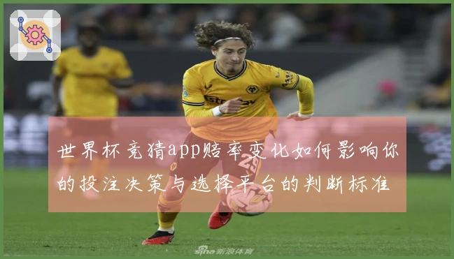世界杯竞猜app赔率变化如何影响你的投注决策与选择平台的判断标准
