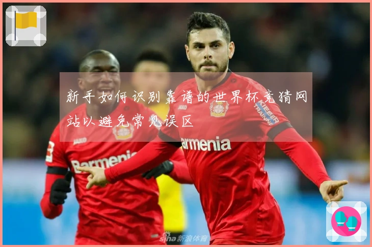 新手如何识别靠谱的世界杯竞猜网站以避免常见误区