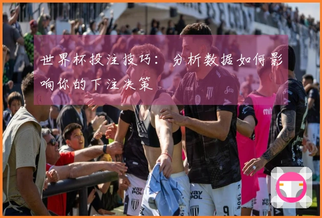 世界杯投注技巧：分析数据如何影响你的下注决策
