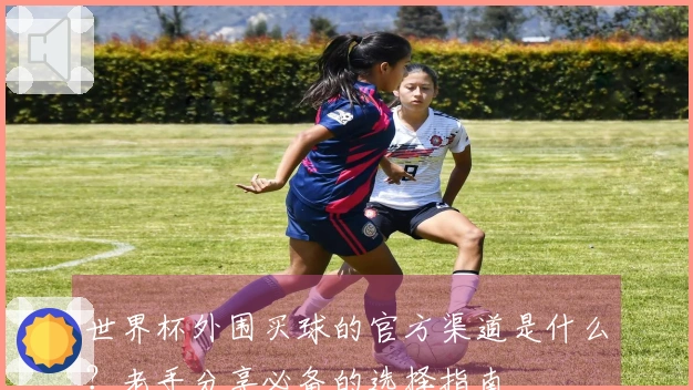 世界杯外围买球的官方渠道是什么?老手分享必备的选择指南