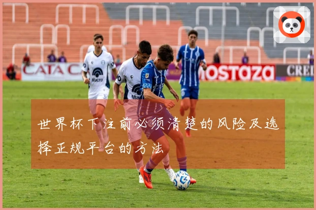 世界杯下注前必须清楚的风险及选择正规平台的方法