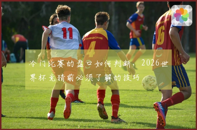 冷门比赛的盘口如何判断，2026世界杯竞猜前必须了解的技巧